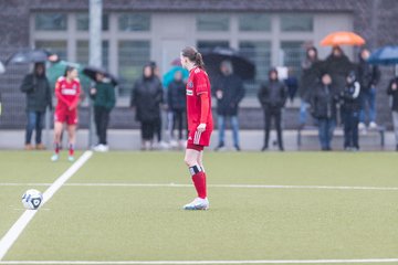 Bild 251 - wBJ Alstertal-Langenhorn - Hamburger SV : Ergebnis: 0:3